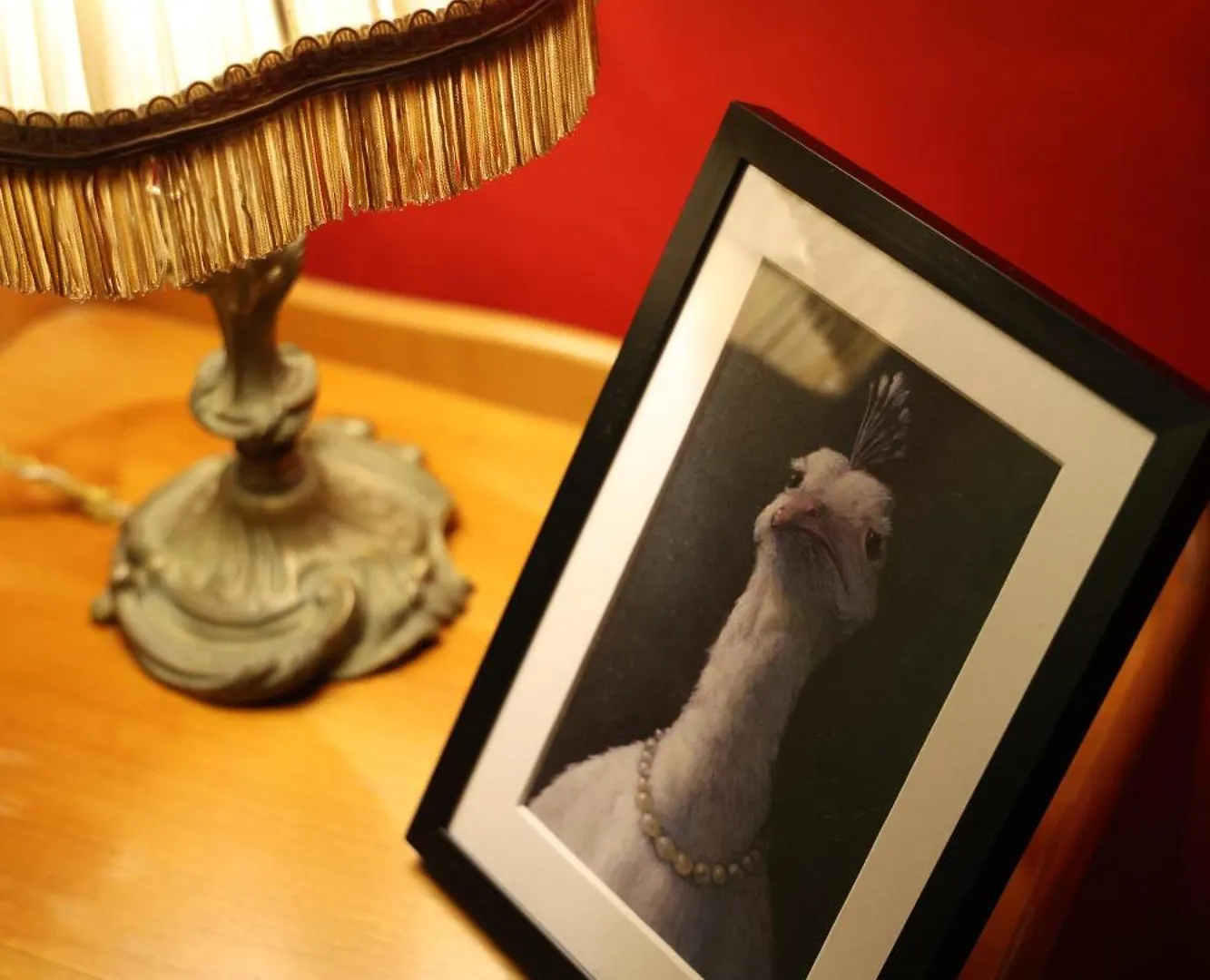 Amelie In Paris Hidden Gem Montmartre Apartment France